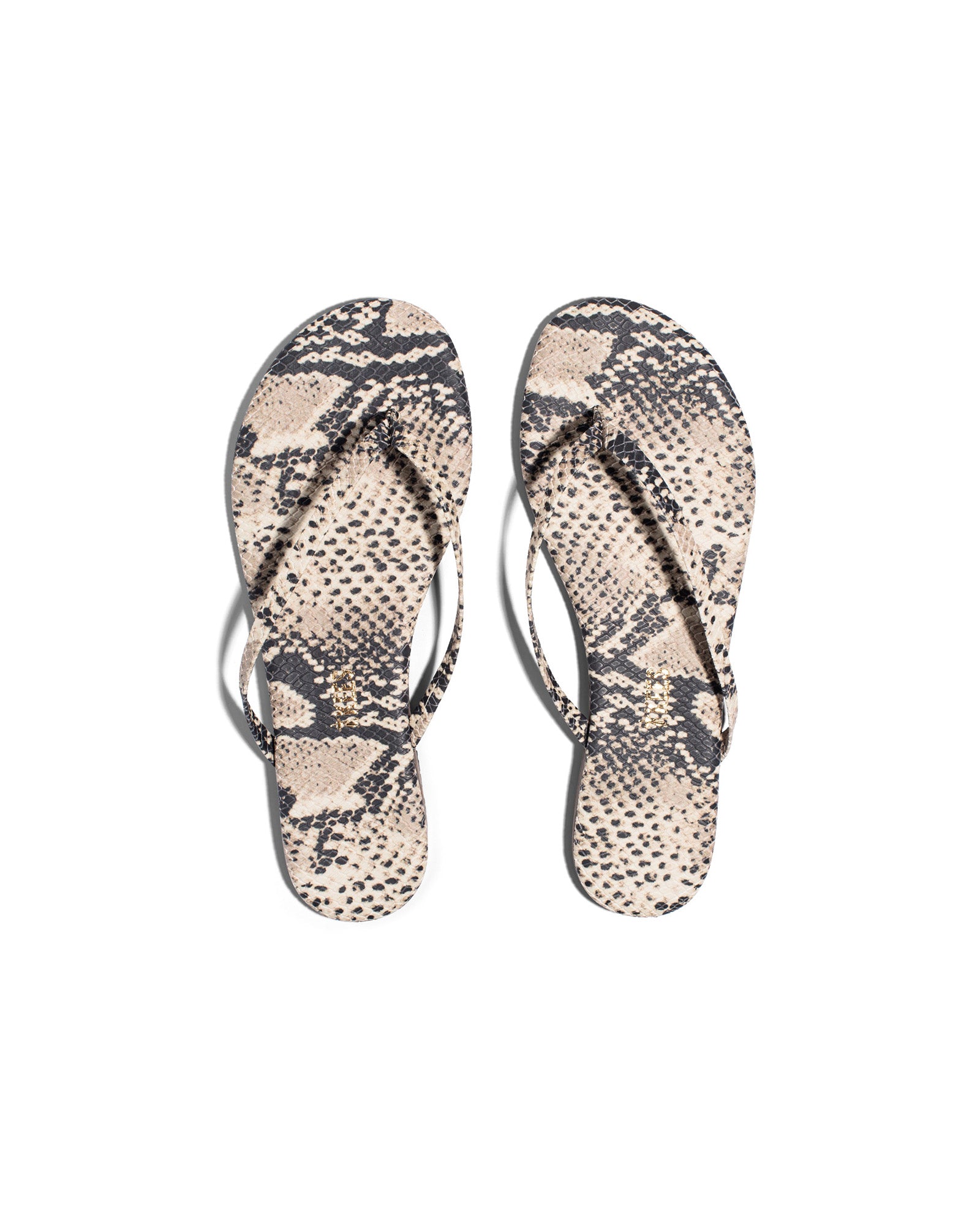 Studio Exotic - Sandsnake
